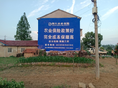 罗山墙体广告为何受追捧？